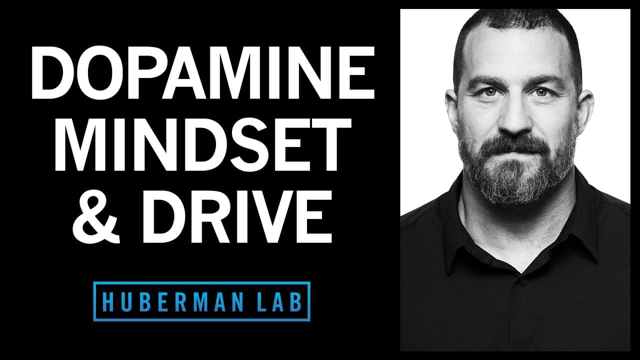Controlling Your Dopamine For Motivation, Focus & Satisfaction